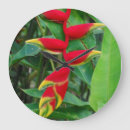 Buscar heliconia Rojo