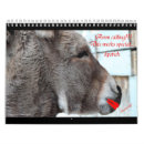 Buscar animales calendarios Oso