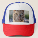 Buscar gatitos gorras Para mascotas