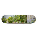 Buscar canal tablas de skate Exterior