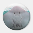 Buscar pastinaca Sealife