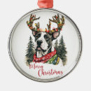 Buscar great dane Adorable