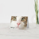 Buscar pet tarjetas Para todos
