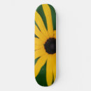Buscar pétalos tablas de skate Flores de verano