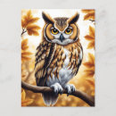 Buscar pájaro blanco postales Hojas