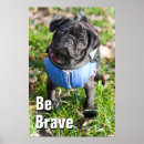 Buscar tiro libre posters Al aire libre
