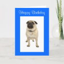 Buscar cute puppy tarjetas Cachorros