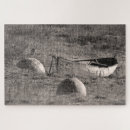 Buscar remos puzzles Bote de remos