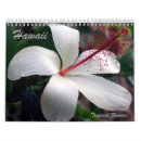 Buscar flores tropicales calendarios Hibisco