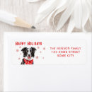 Buscar collie Navidad