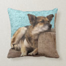 Buscar del chile cojines América del sur