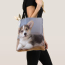 Buscar primero plano bolsos Animales del bebé