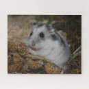 Buscar martillos puzzles Ratón