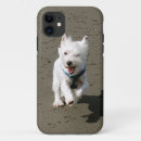 Buscar westie iphone fundas Perro