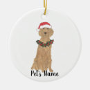 Buscar setter irlandés decoracion Perro