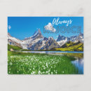 Buscar siempre postales General y unisex