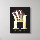 Buscar harry potter Casa de hufflepuff