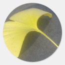 Buscar ginkgo pegatinas Otoño