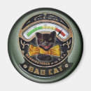 Buscar mún gato Gatos