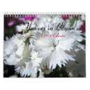 Buscar floraciones calendarios Lirio