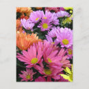 Buscar pronto fotograficas tarjetas Floral