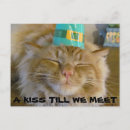 Buscar st patricks day postales Gatito
