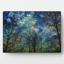 Buscar estrellas placas fotograbadas Cielo nocturno