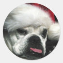 Buscar bulldog pegatinas Rojo
