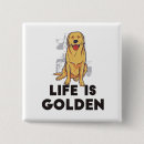 Buscar golden retriever chapas Recuperador de oro