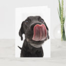 Buscar nariz de perro tarjetas Lindo