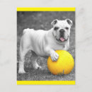 Buscar bulldog postales Perro