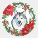 Buscar malamute pegatinas Malamuta