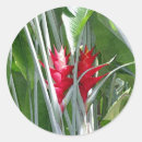 Buscar flores rojas brillantes pegatinas Botánico