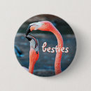 Buscar flamencos chapas Rosa