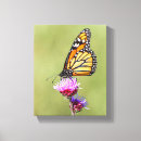 Buscar mariposas de monarca arte Vida silvestre