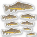 Buscar moscas manualidades Pesca con mosca