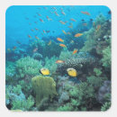 Buscar peces pegatinas Criaturas marinas