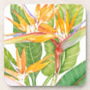 Buscar exotica posavasos Flores