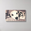 Buscar perro bombero posters Cachorro