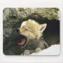 Buscar bostezo alfombrillas de raton Fauna