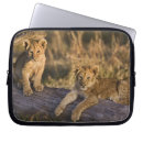 Buscar panthera leo fundas Bebé