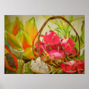 Buscar fruta tropical arte General y unisex