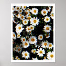 Buscar emoticonos posters Emoji