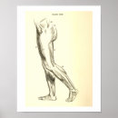 Buscar piernas arte Médico