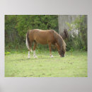 Buscar manitas posters Animales
