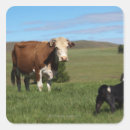 Buscar confrontación postales Exterior