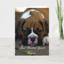 Buscar boxeador mascotas Condolencia