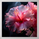 Buscar hibisco hawaiano posters Elegante