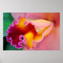 Buscar labios grandes posters Rojo