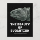 Buscar evolución postales Darwin